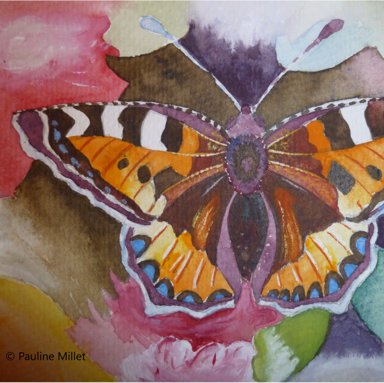 papillon aquarelle illustration pauline millet