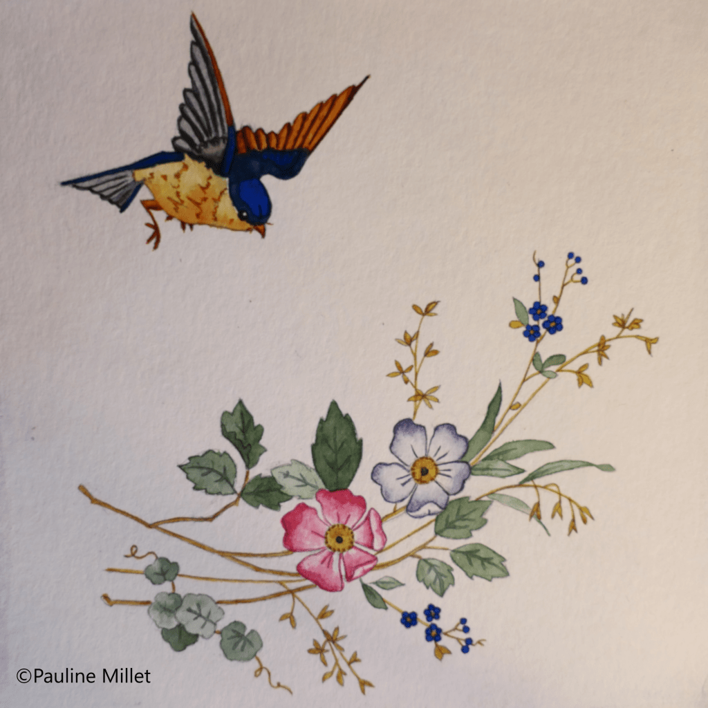 mésange bleue fleurs aquarelle pauline millet illustration