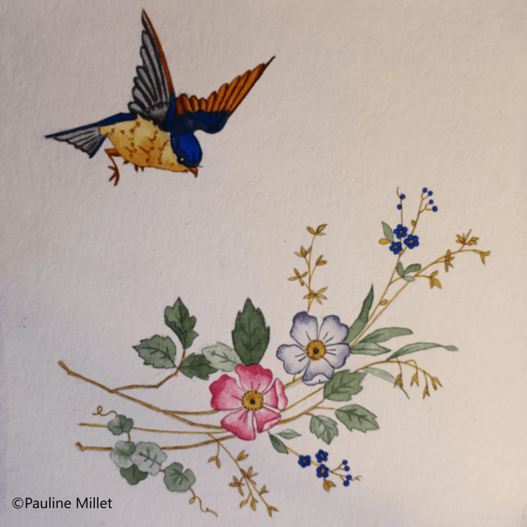 mésange bleue fleurs aquarelle pauline millet illustration