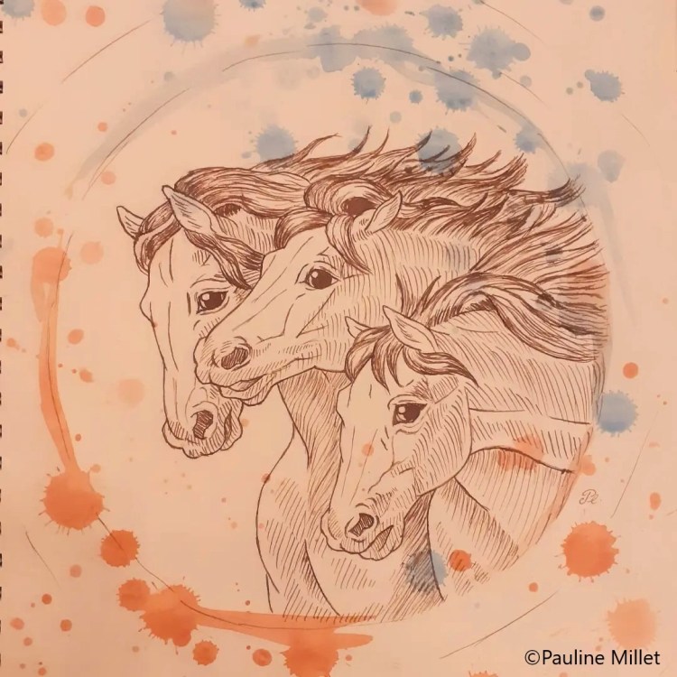 Chevaux dessin aquarelle encre illustration pauline millet