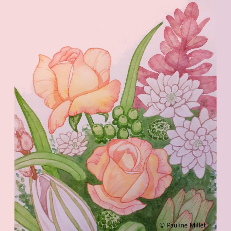 fleurs roses bouquet st valentin aquarele illustration pauline millet