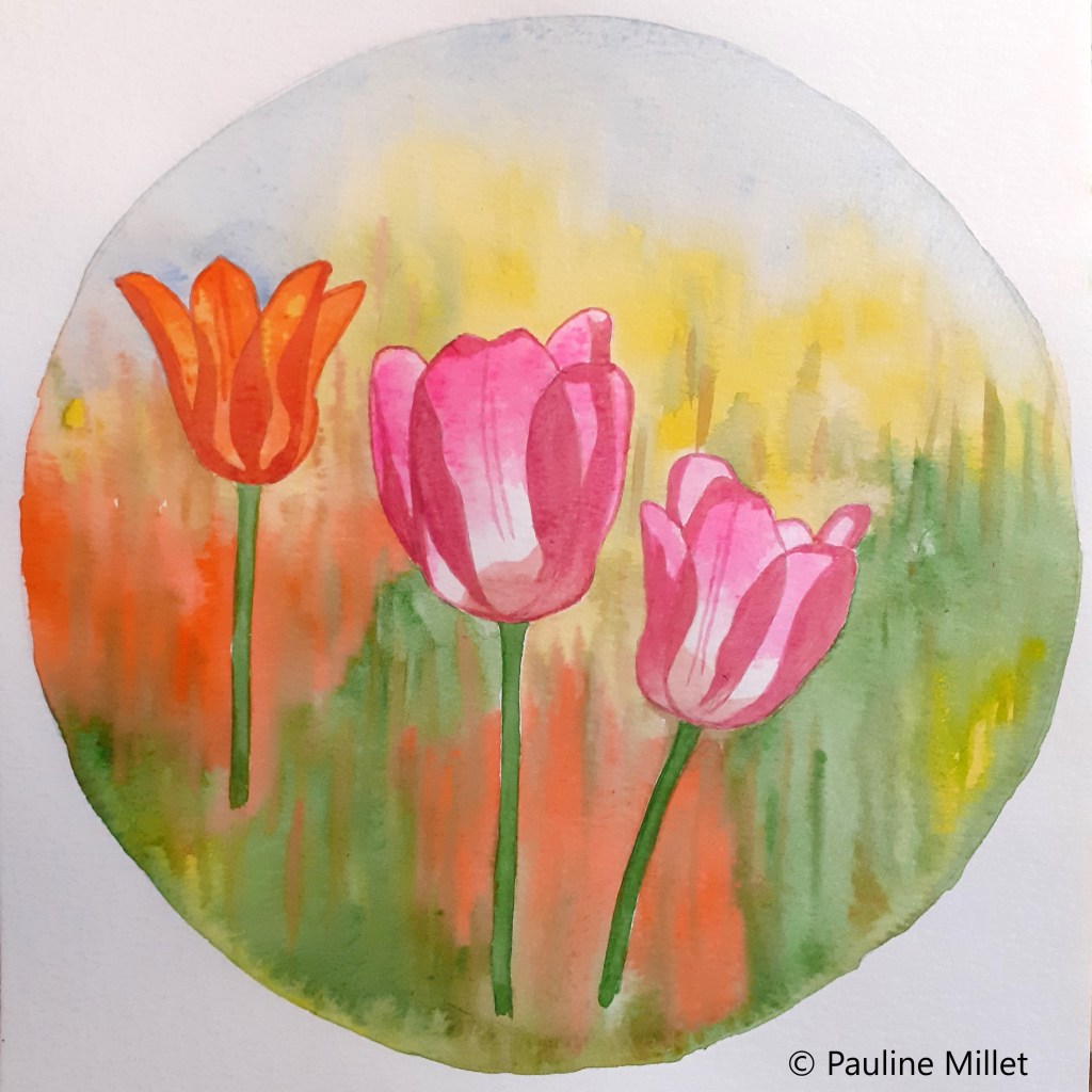 tulipes aquarelle fleurs ilustration pauline millet